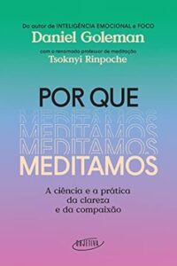 Livro Por que meditamos, de Daniel Goleman