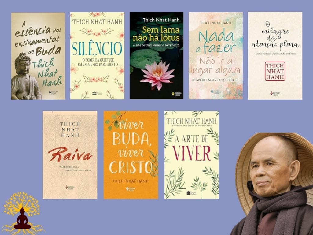 Melhores livros de Thich Nhat Hanh em português - Vi Claramente
