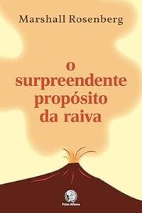 Capa do livro O surpreendente propósito da raiva